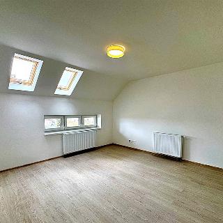 Prodej bytu 1+kk, garsoniery 30 m² Jenišovice