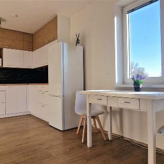 Pronájem bytu 1+kk a garsoniéry 35 m² Brno, Husovická