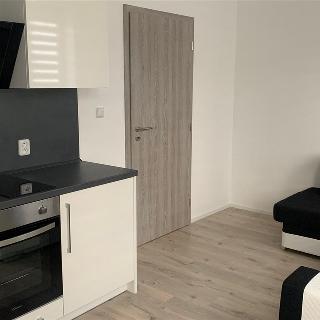 Pronájem bytu 1+kk a garsoniéry 21 m² Svitavy, Říční