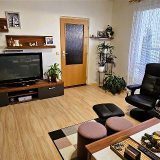 Prodej bytu 3+1 77 m² Brno, Velkopavlovická