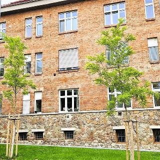 Prodej bytu 1+kk a garsoniéry 33 m² Brno, Celní