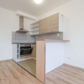 Pronájem bytu 1+kk, garsoniery 34 m² Brno