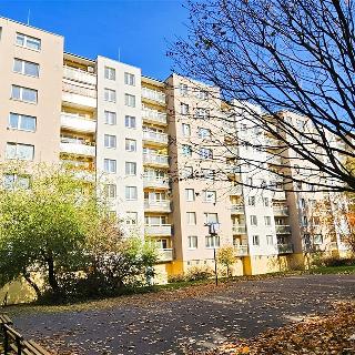 Prodej bytu 2+kk 40 m² Brno, Mikulovská