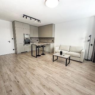 Pronájem bytu 1+kk a garsoniéry 36 m² Svitavy