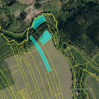 Prodej zemědělské půdy 4542 m&sup2; Valašské Klobouky
