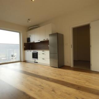 Pronájem bytu 1+kk, garsoniery 31 m² Brno
