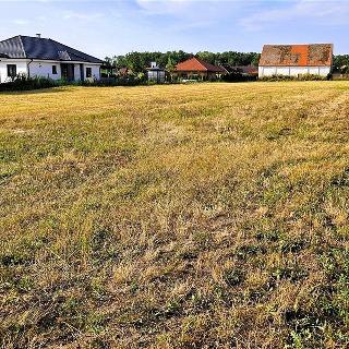 Prodej stavební parcely 5 762 m² Práče