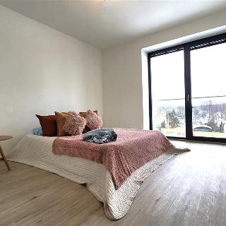 Prodej bytu 3+kk 78 m² Klimkovice, Resnerova