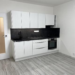 Pronájem bytu 1+1 42 m² Brno, Rerychova