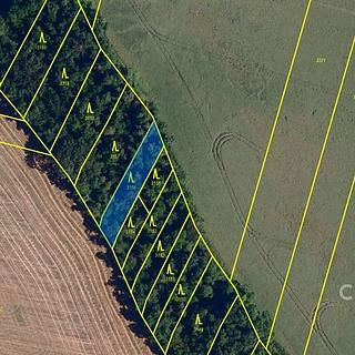 Prodej lesa 921 m&sup2; Rybníky