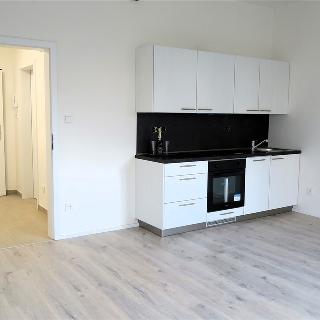 Pronájem bytu 1+kk a garsoniéry 33 m² Svitavy, Říční