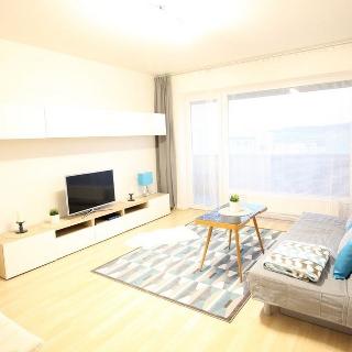 Pronájem bytu 2+1 68 m² Brno, Hvozdecká