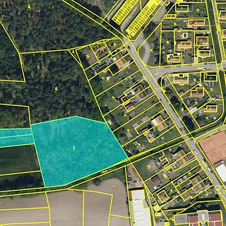 Prodej lesa 10362 m&sup2; Rybitví