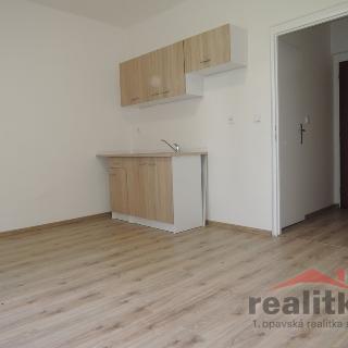 Pronájem bytu 1+kk a garsoniéry 22 m² Opava, Slámova