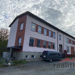 Prodej obchodu 810 m² Brumovice