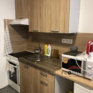 Pronájem bytu 1+kk a garsoniéry 27 m² Opava, Hany Kvapilové