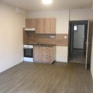 Pronájem bytu 1+kk a garsoniéry 27 m² Opava, Hany Kvapilové