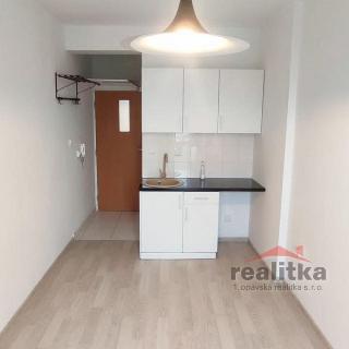 Pronájem bytu 1+kk a garsoniéry 14 m² Opava, Haškova