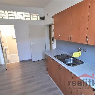 Pronájem bytu 1+1 40 m² Opava, Vodní