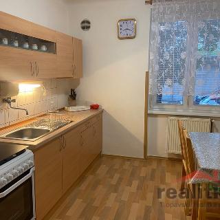 Pronájem bytu 1+1 35 m² Opava, Polanova