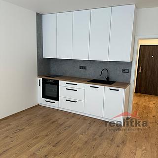Pronájem bytu 1+kk, garsoniery 42 m&sup2; Opava