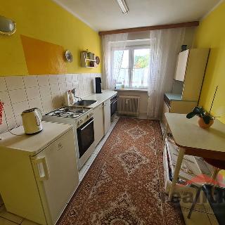 Prodej bytu 2+1 66 m² Opava, Oblouková