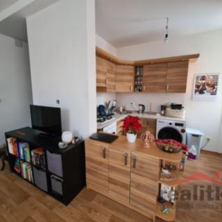 Pronájem bytu 2+kk 61 m² Opava, Palackého