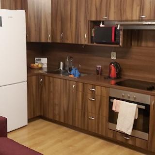 Pronájem bytu 3+kk 59 m² Opava, Krnovská