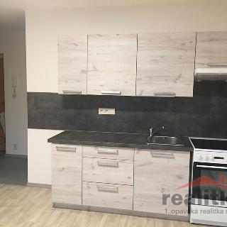 Pronájem bytu 1+kk a garsoniéry 29 m² Opava, Rybářská