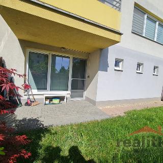 Pronájem bytu 2+kk 49 m² Hlučín, Viléma Balarina