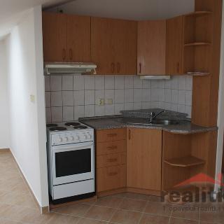 Pronájem bytu 1+kk a garsoniéry 30 m² Opava, U Fortny