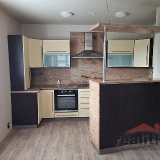 Pronájem bytu 5+1 a více 120 m² Opava, Slezská