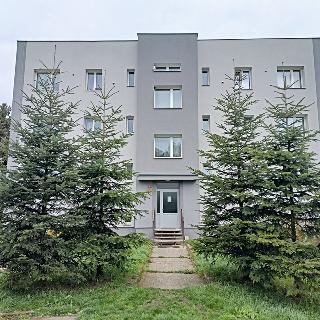 Pronájem bytu 3+1 82 m² Líšťany