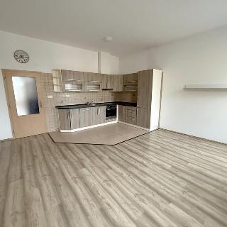 Pronájem bytu 2+kk 68 m² Přeštice, Rybova