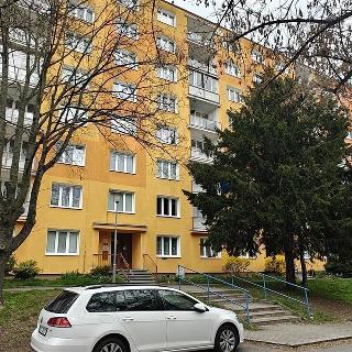 Pronájem bytu 1+kk a garsoniéry 21 m² Plzeň, Tichá