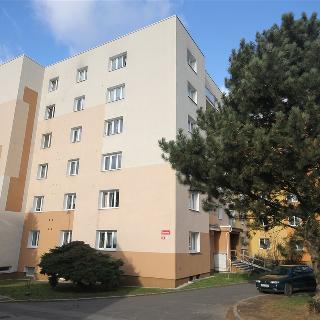 Prodej bytu 1+1 48 m² Plzeň, Lazaretní