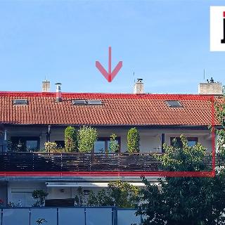 Prodej bytu 3+kk 118 m² Plzeň, Lipová