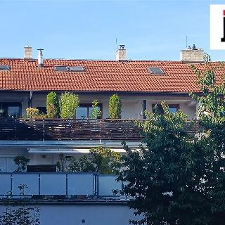 Prodej bytu 3+kk 118 m² Plzeň, Lipová