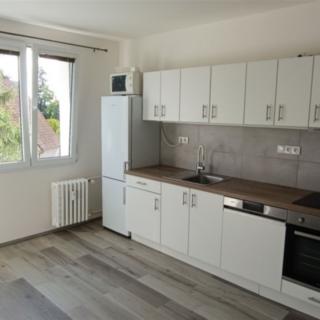 Pronájem bytu 1+1 40 m² Plzeň