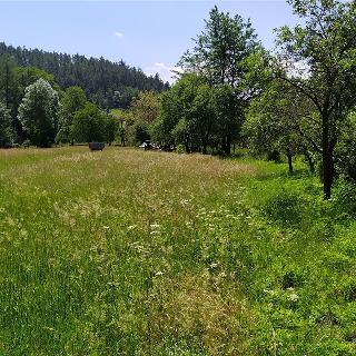 Prodej ostatních pozemků 1734 m² Nalžovské Hory