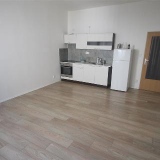 Pronájem bytu 1+kk a garsoniéry 30 m² Plzeň, Raisova