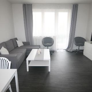 Pronájem bytu 2+kk 59 m² Plzeň, Goldscheiderova