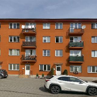 Prodej bytu 1+kk a garsoniéry 32 m² Šestajovice, Komenského