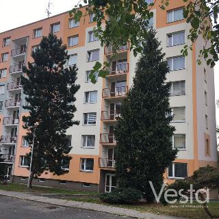 Pronájem bytu 2+1 65 m² Děčín, Weberova