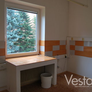 Pronájem ostatního komerčního prostoru 60 m² Děčín, 28. října