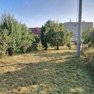 Prodej stavební parcely 439 m² Ježkovice