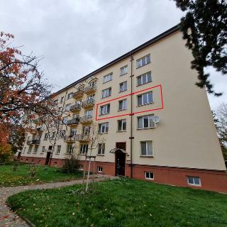 Pronájem bytu 2+1 53 m² Pardubice, K Blahobytu