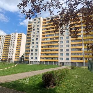 Pronájem bytu 1+kk, garsoniery 30 m&sup2; Hradec Králové