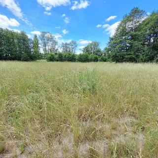 Prodej zemědělské půdy 2 460 m² Lípa nad Orlicí