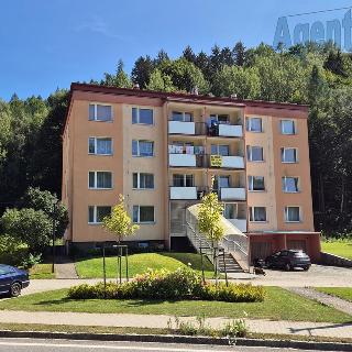 Prodej bytu 3+1 74 m² Jindřichov